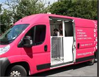  P & P Mobile Dog  Grooming